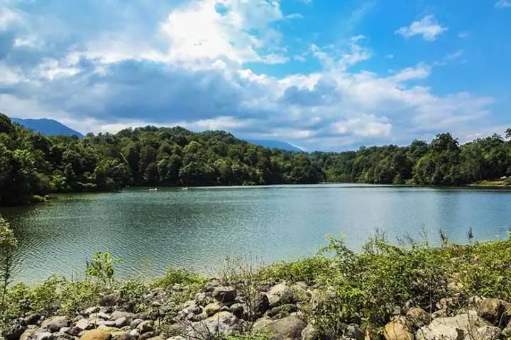 خرید ویلای جنگلی در چمستان