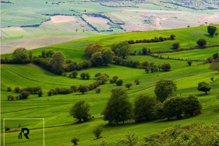 خرید زمین ارزان در شمال