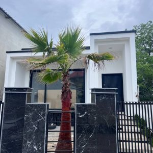 ویلای فلت در منطقه شهری چمستان