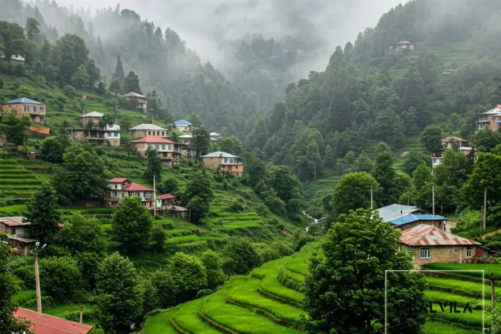 خرید ویلای ارزان در مناطق جنگلی