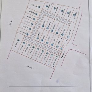 خرید زمین برای سرمایه‌گذاری