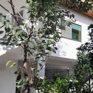 فروش خانه ویلایی در خیابان هراز درازون