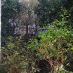 فروش خانه ویلایی در خیابان هراز درازون