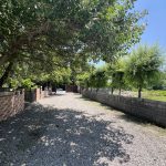 خرید زمین جنگلی در چمستان
