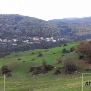 زمین جنگلی در چلاو آمل