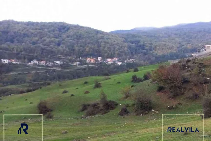 زمین جنگلی در چلاو آمل