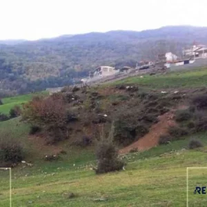 زمین جنگلی در چلاو آمل