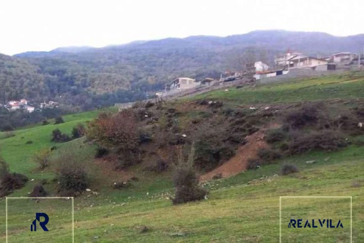 زمین جنگلی و کوهستانی در چلاو آمل