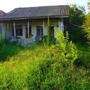 خونه باغ کلنگی بخر با ۳ کنتور/ فقط پول زمینو میدی