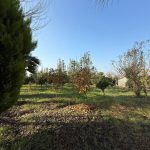 ویلا باغ استخر دار مبله شیک