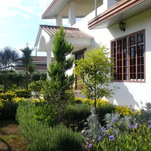 فروش ویلای ساحلی در شمال