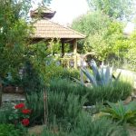 فروش ویلای ساحلی شهرکی