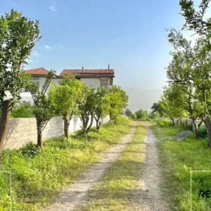 خرید زمین سرمایه گذاری در شمال