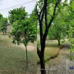 خانه روستایی با سبک روستیک