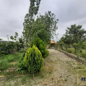 زمین روستایی برای ساخت ویلا باغ