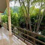 باغ ویلای جنگلی در پلاک یک جنگل