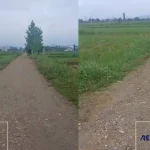 خرید زمین کشاورزی در چمستان