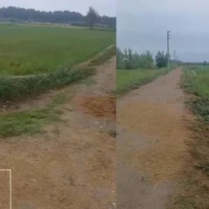 خرید زمین کشاورزی در چمستان1