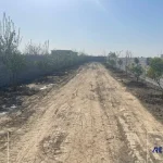 زمین باغی مزروعی جاده اوجی‌آباد