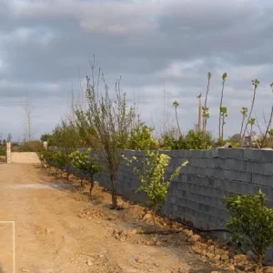 زمین باغی مزروعی جاده اوجی‌آباد