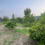 زمین روستایی در کمربندی آمل