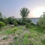 زمین روستایی در کمربندی آمل