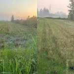 فروش فوری زمین کشاورزی در کلوده
