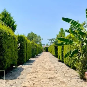 ویلای شهرکی بسیار شیک در چمستان2
