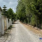 ویلای لاکچری فول فرنیش جنگلی