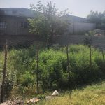 زمین مسکونی روستایی در آمل