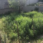 زمین مسکونی روستایی در آمل