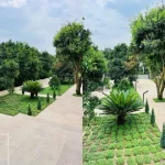 ویلاباغ خاص و زیبا در شمال