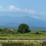 ویلای دوبلکس استخردار جنگلی در چمستان