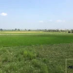 ویلای روستایی ارزان مبله در شمال