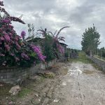 دو قطعه زمین در روستای آهن‌کتی آمل