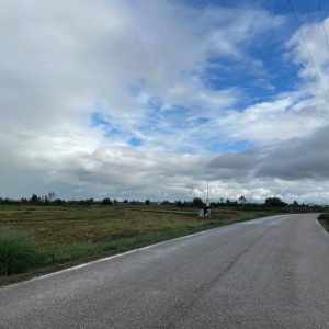 دو قطعه زمین در روستای آهن‌کتی آمل