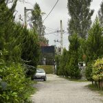 ویلای جنگلی لوکس در چمستان