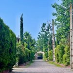 ویلا باغ مبله در شهرک سعادت