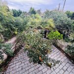 ویلای جنگلی دوبلکس کلاسیک ارزان