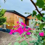 ویلای جنگلی فول مبله زیبا