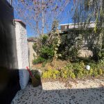 ویلای جنگلی فلت مبله کامل