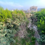 ویلای جنگلی استخردار تریپلکس کلاسیک