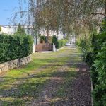 ویلای جنگلی استخردار فول فرنیش