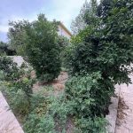 ویلای جنگلی دوبلکس و کلاسیک